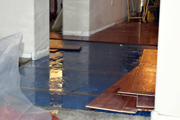 Professional Flood Damage Repair technician working in Flora, IN